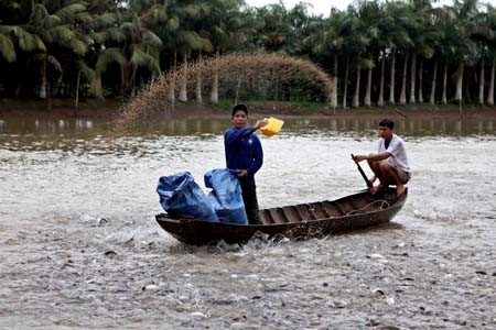 Reestructuran la industria de producción de pangasius - ảnh 2