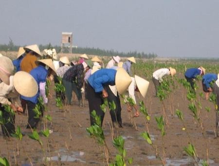 Vietnam incentiva cooperación internacional para enfrentar el cambio climático - ảnh 2