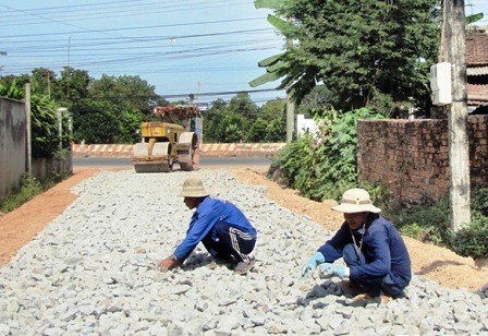 Consenso en la edificación de nueva ruralidad en Bu Dang - ảnh 2