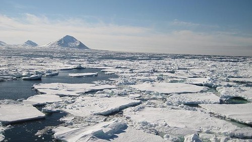 Conferencia de la ONU sobre el cambio climático: actuar por un mundo mejor  - ảnh 2