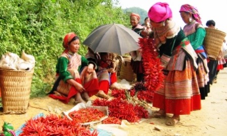  Sapa fantástica en la neblina  - ảnh 2