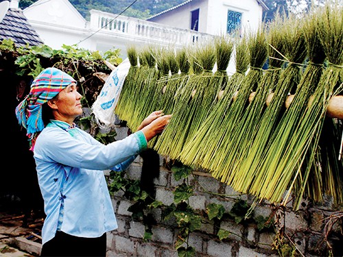 Los Giay en Lao Cai - ảnh 3