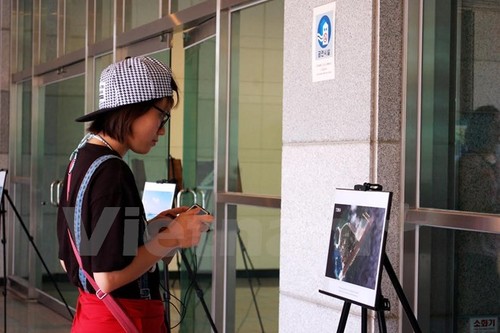 Exposición en Corea del Sur contra actividades ilegales de China en Mar Oriental - ảnh 1