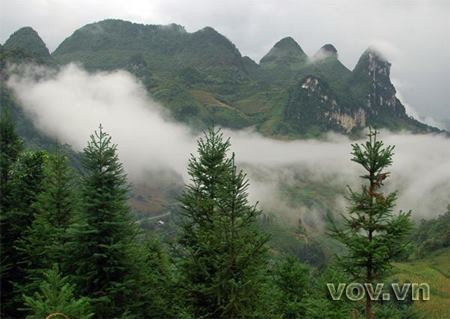 Hoang Lien Son - la cordillera famosa de la provincia Lao Cai - ảnh 6