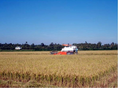 Compatriotas jemeres en Tra Vinh ceden tierra para el desarrollo rural - ảnh 1