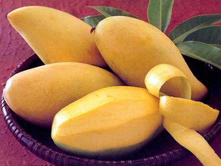 Mangos vietnamitas a la venta por primera vez en Japón - ảnh 1