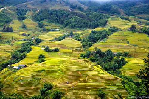 Impresionante naturaleza en trayecto Sapa – Y Ty  - ảnh 1