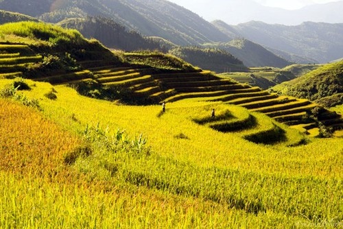 Impresionante naturaleza en trayecto Sapa – Y Ty  - ảnh 16