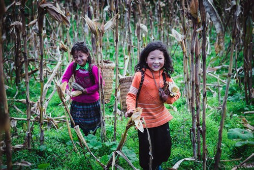 Impresionante naturaleza en trayecto Sapa – Y Ty  - ảnh 18