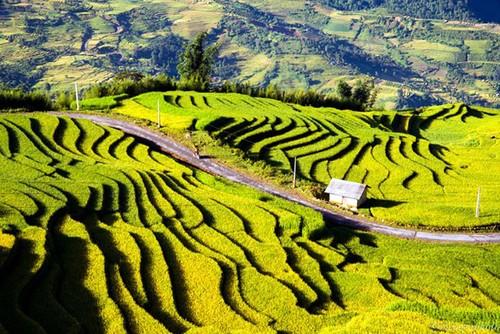 Impresionante naturaleza en trayecto Sapa – Y Ty  - ảnh 9