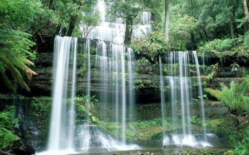 Belleza salvaje de cascada Dai Yem en Moc Chau - ảnh 3