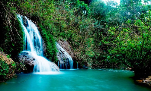 Belleza salvaje de cascada Dai Yem en Moc Chau - ảnh 2