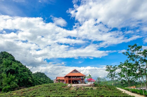 Un día en la tierra alta de Moc Chau - ảnh 4