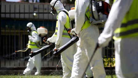 OMS: Zika se está expandiendo explosivamente en toda América - ảnh 1