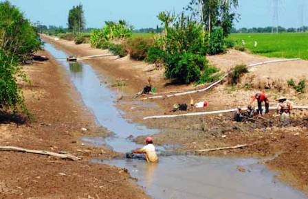 Pobladores del Delta del río Mekong luchan contra el cambio climático - ảnh 2