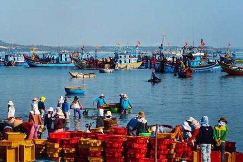 Abierta al público exposición de fotos sobre tierra de origen de la flotilla de Hoang Sa - ảnh 1