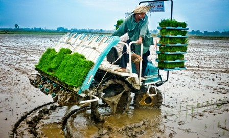 Nguyen Ngoc Dao Uyen y sus obras literarias sobre el tema rural - ảnh 2