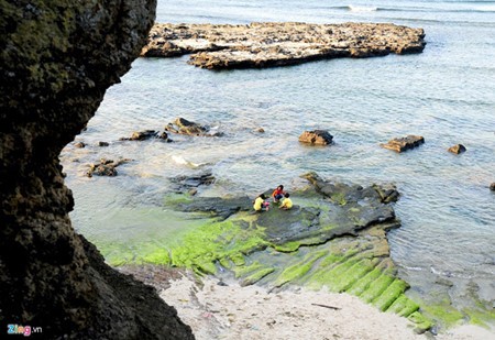 Increíble patrimonio geológico en la isla de Ly Son - ảnh 6