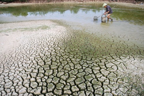 Estados Unidos y Vietnam fortalecen cooperación en respuesta al cambio climático - ảnh 1