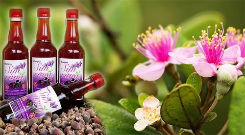 Phu Quoc y sus productos típicos - ảnh 5