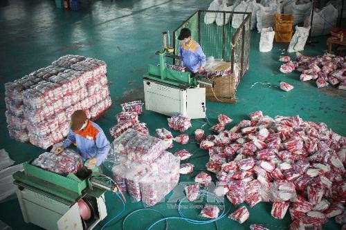 En alza exportaciones surcoreanas a Vietnam - ảnh 1