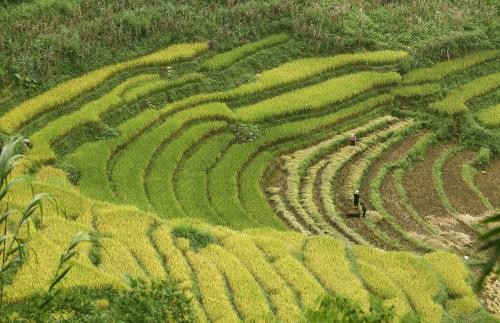 Convertirán a Sapa en Zona Turística Nacional de Vietnam antes de 2030 - ảnh 1