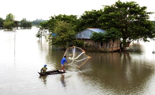 Ritmos de vida de Dong Thap Muoi en época de ascenso de agua - ảnh 1