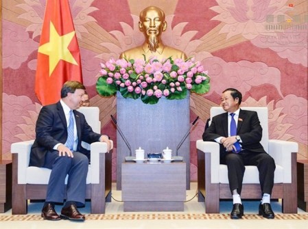 Vietnam y Estados Unidos vigorizan relaciones  - ảnh 1