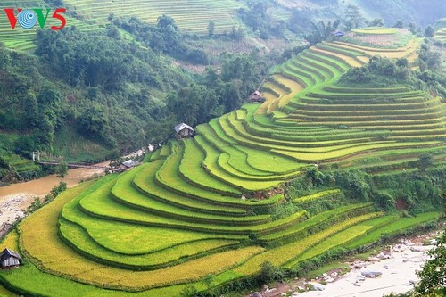 Ofrecen una amplia gama de actividades en la Semana de Cultura y Turismo de Mu Cang Chai - ảnh 1