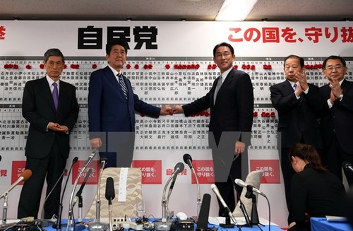 Elecciones de la Cámara Baja crean un nuevo impulso para el desarrollo de Japón - ảnh 1