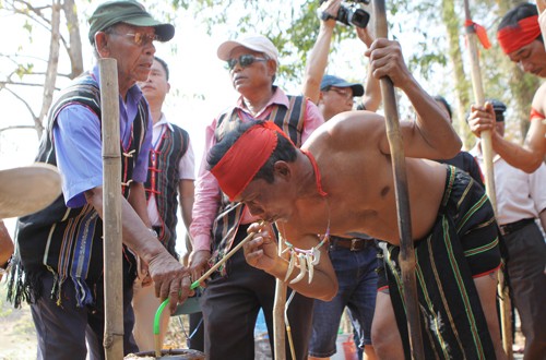 Los M’nong y sus particulares rituales en honor a los elefantes domados - ảnh 2