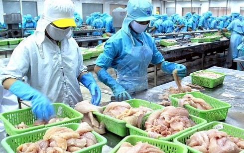 Empresas vietnamitas dicen no a la pesca ilegal, no declarada y no regulada - ảnh 1