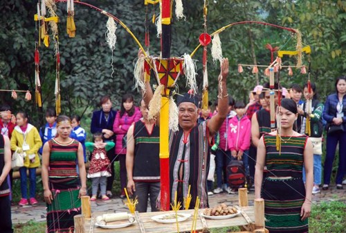 Homenaje a la entrada aldeana, una tradición ancestral de la etnia M’nong - ảnh 3