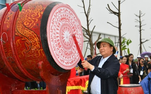 Lanzan campaña de siembra de árboles en provincia centrovietnamita - ảnh 1