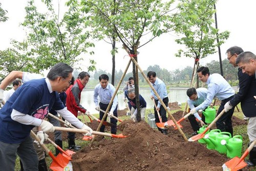 Cerezo: un puente de la amistad Vietnam-Japón - ảnh 1