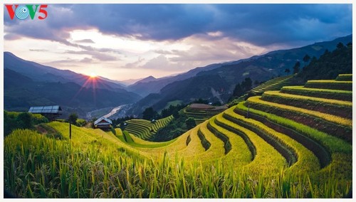 Mu Cang Chai en temporada de arroz maduro - ảnh 5