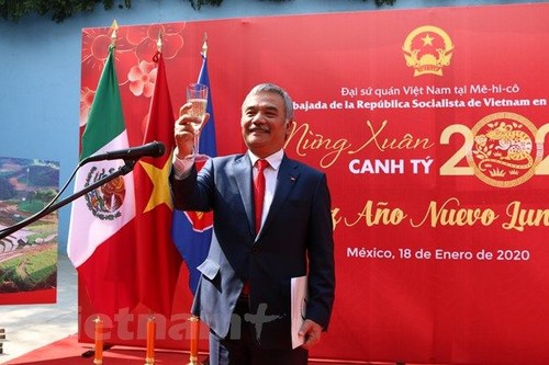 Vietnamitas en varios países celebran la próxima fiesta del Año Nuevo Lunar de la Rata - ảnh 1