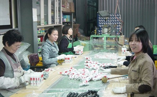 No se registran casos de Covid-19 entre trabajadores vietnamitas en Corea del Sur y Japón - ảnh 1