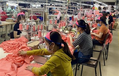 Realizarán durante dos meses censo empresarial en Vietnam - ảnh 1