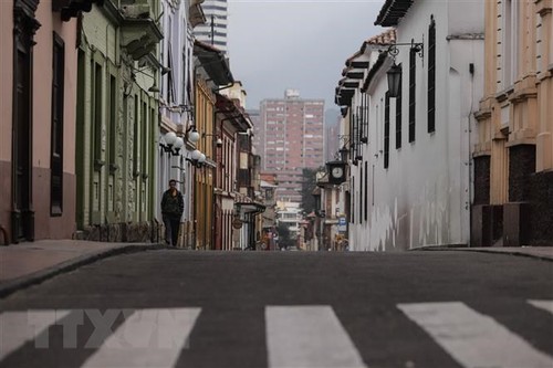 Colombia, nuevo miembro de Organización para la Cooperación y el Desarrollo Económico - ảnh 1