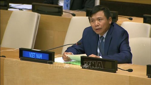 Vietnam llama a la ayuda internacional para el pueblo palestino - ảnh 1