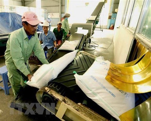 El primer lote de 60 toneladas de arroz vietnamita llega a Reino Unido bajo el Tratado de Libre Comercio - ảnh 1