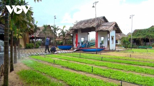 Hoi An, patrimonio cultural mundial, integrado en un modelo de turismo verde - ảnh 2