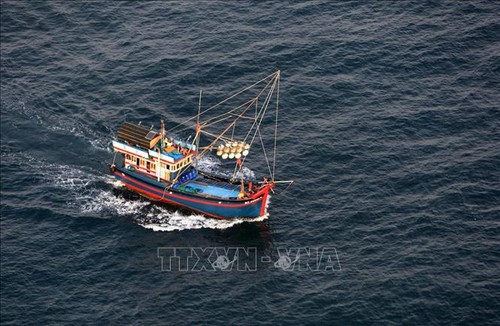 Organización vocacional vietnamita rechaza prohibición china de pesca en Mar del Este - ảnh 1