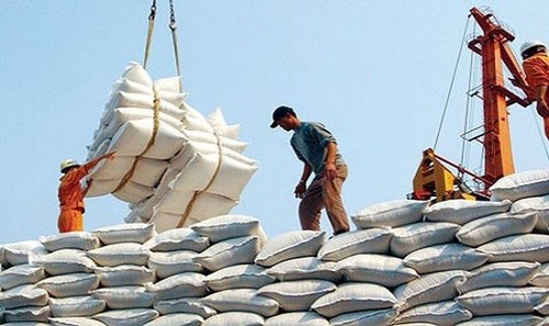 Venta externa de arroz de Vietnam supera los mil millones de dólares en los primeros cuatro meses de 2022 - ảnh 1