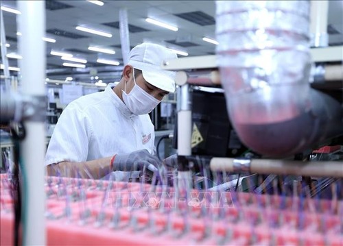 Vietnam, un destino atractivo a largo plazo para inversionistas extranjeros - ảnh 1