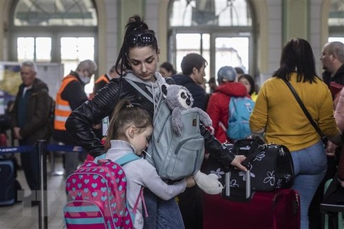 UE prioriza debates sobre medidas de apoyo a inmigrantes de Ucrania - ảnh 1