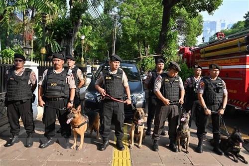 Desastres naturales no afectarán la cumbre del G20, según Indonesia - ảnh 1