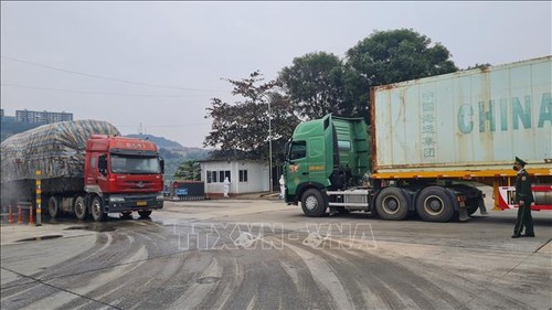 Lao Cai mantiene a flote actividades de importación y exportación en sus puertas fronterizas - ảnh 1