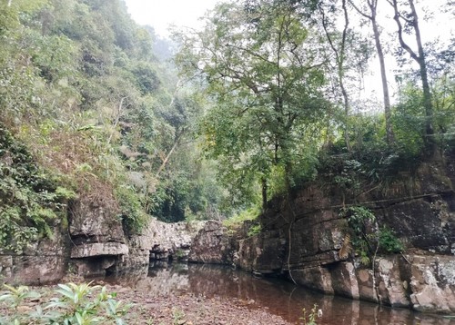 Etnia Dao en Na Hac: tradición de proteger los bosques - ảnh 2